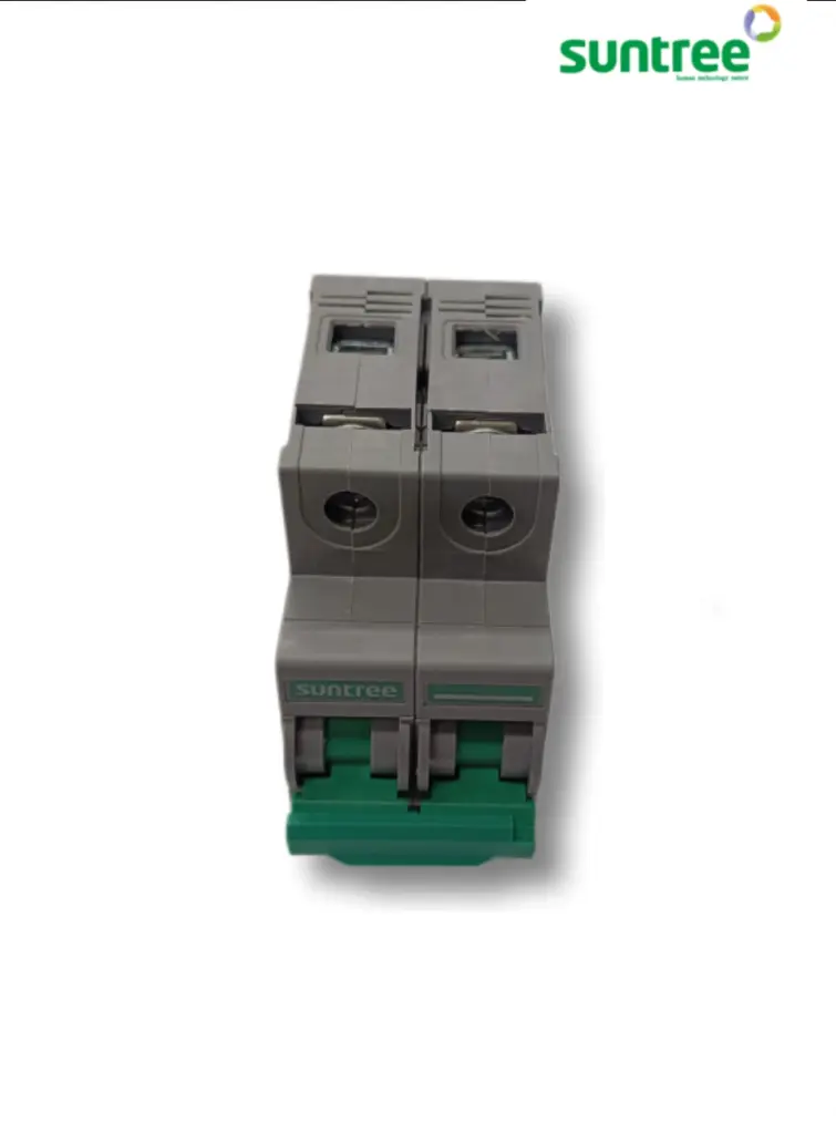 Imagen de WhatsApp 2025-08-07 a las 08.56.40_ea0cb4ea.webp