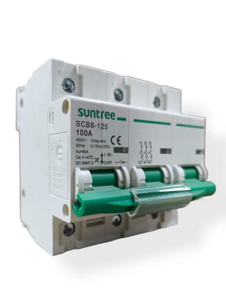 WhatsApp Image 2026-01-29 at 4.57.22 PM.webp