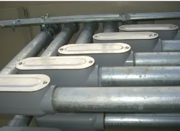 WhatsApp Image 2025-04-17 at 1.55.56 PM.webp