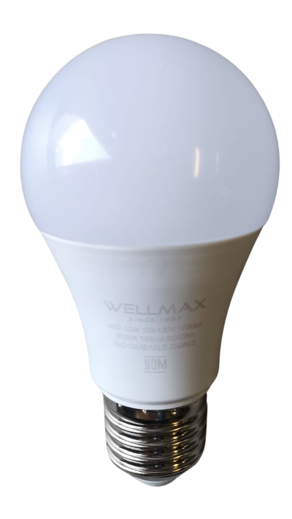 Foco LED A19 clásico 12W 6500K 100-130V