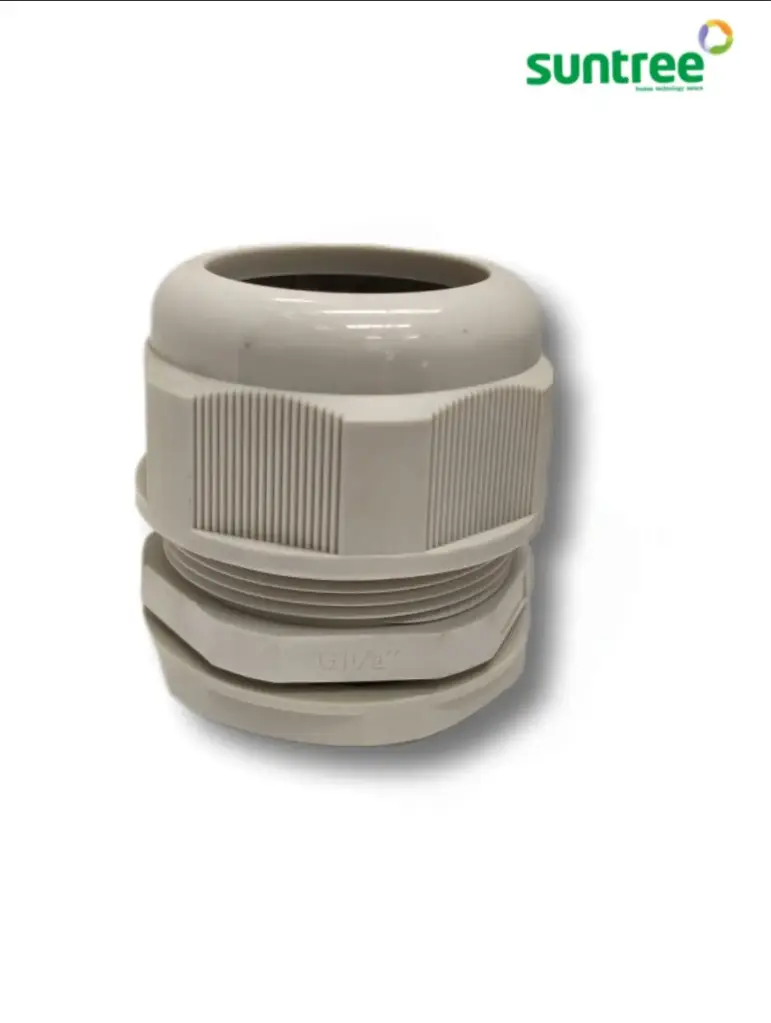 Glandula 1 1/2''