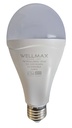 Foco de emergencia LED SAMSUNG 9W 6500K 100-240V